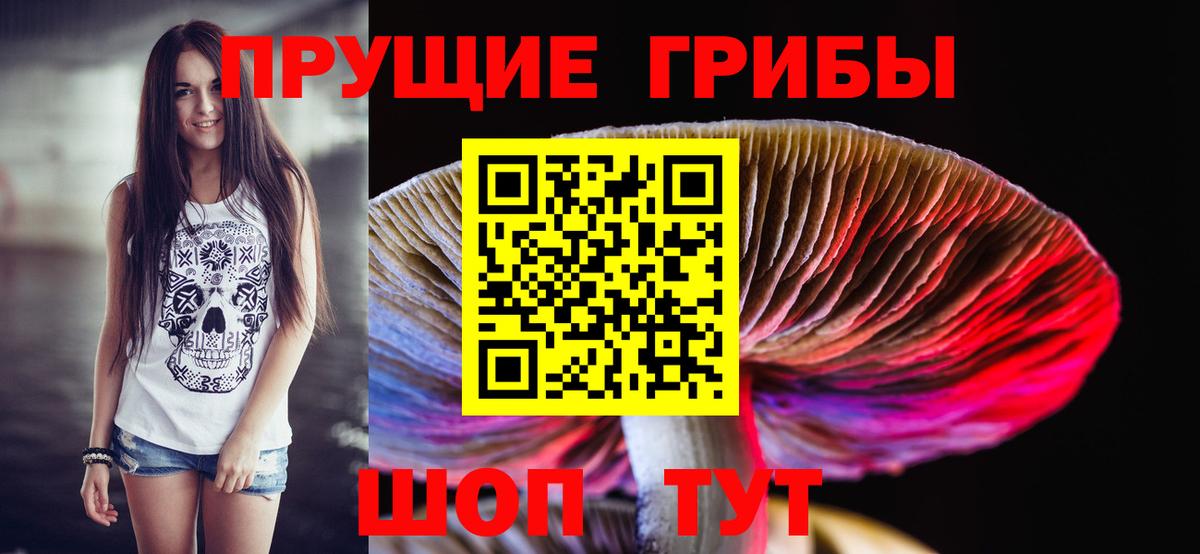 Псилоцибиновые грибы Psilocybine cubensis  Вход с VPN  Зеленодольск 